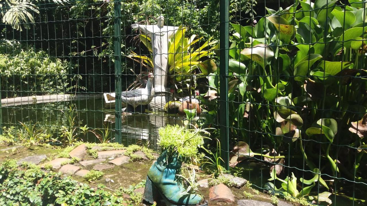 Apartmán Criatividade Na Serra Petrópolis Exteriér fotografie